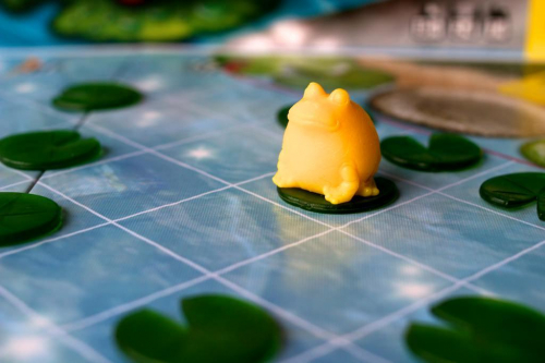 Keltainen sammakko vauhdissa. Kuva: Mikko Saari