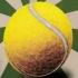 Famous Forehand: The World’s Smallest Tennis Game