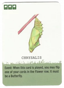 Chrysalis-kortti