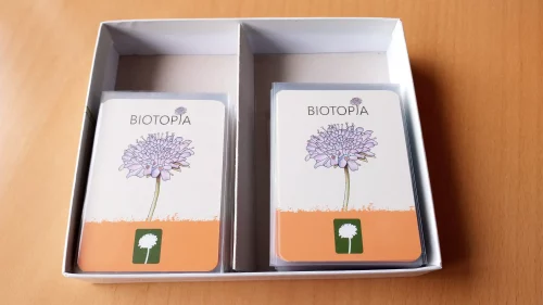 Biotopian laatikko ja kortit laatikossa