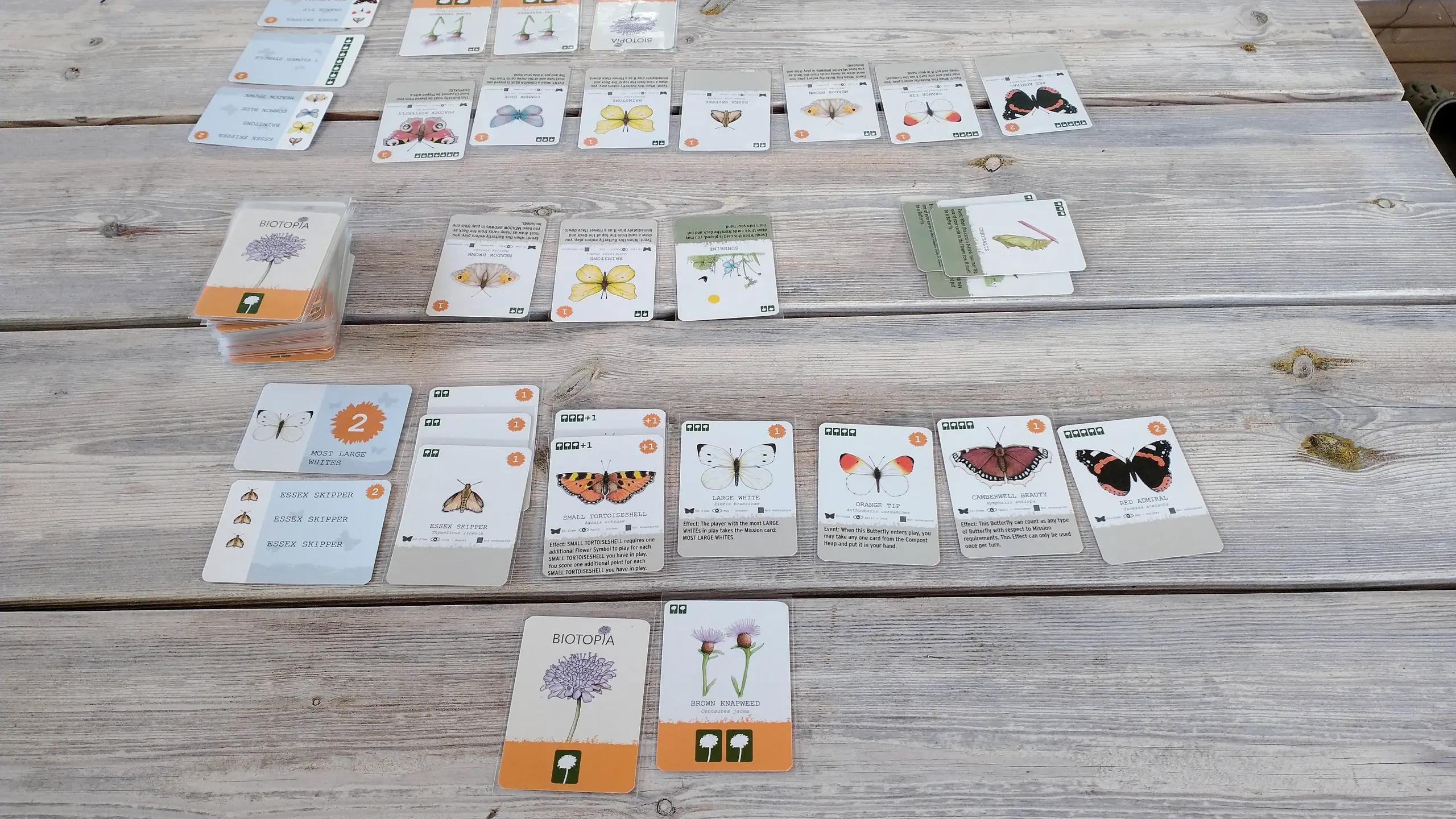 Biotopian kortteja pöydällä