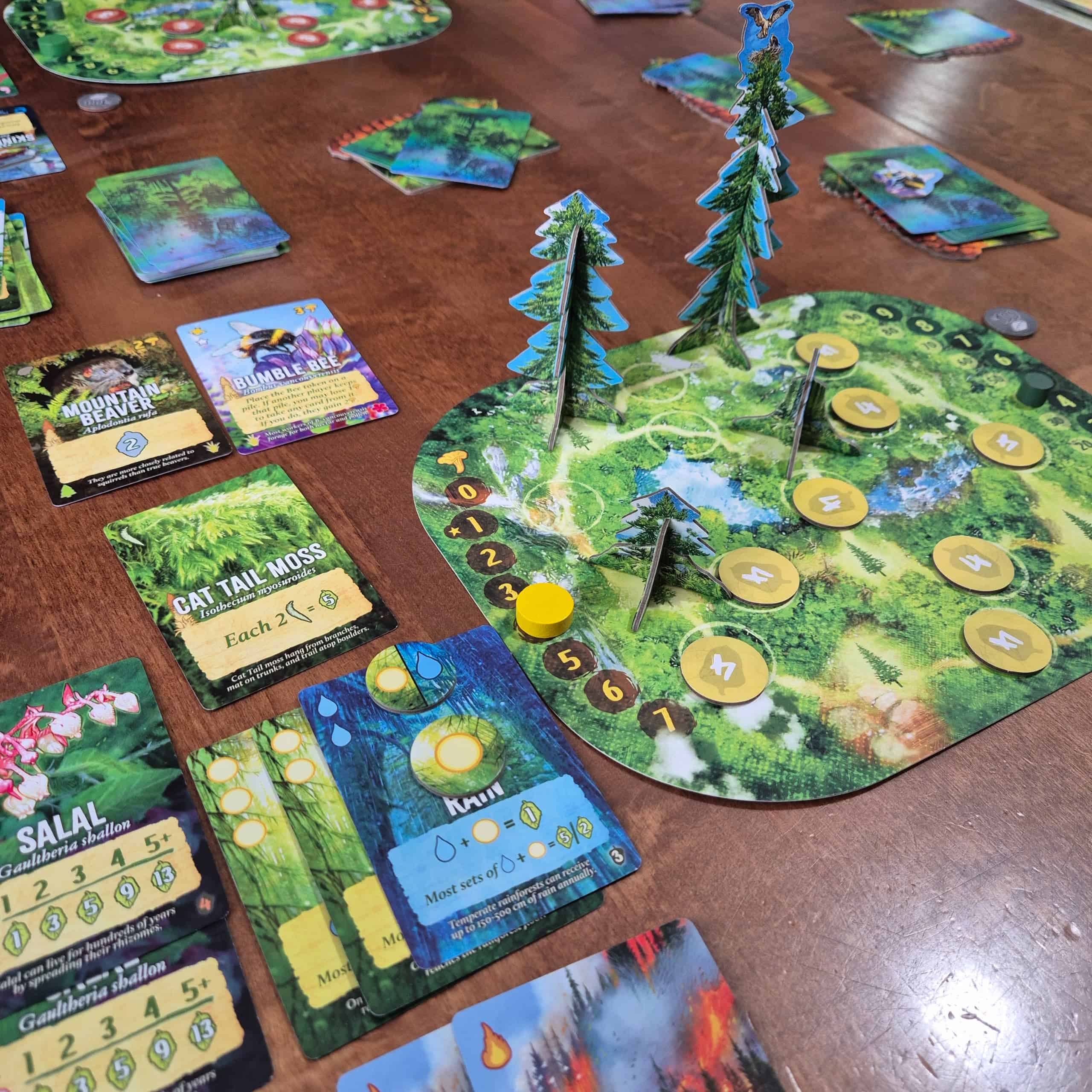Canopy: Evergreen -pelin kortteja ja pelilautaa. Korteissa kuvataan erilaisia kasveja ja muun muassa sadetta. Pelilaudalla on sienimittari ja pahvisia puita.