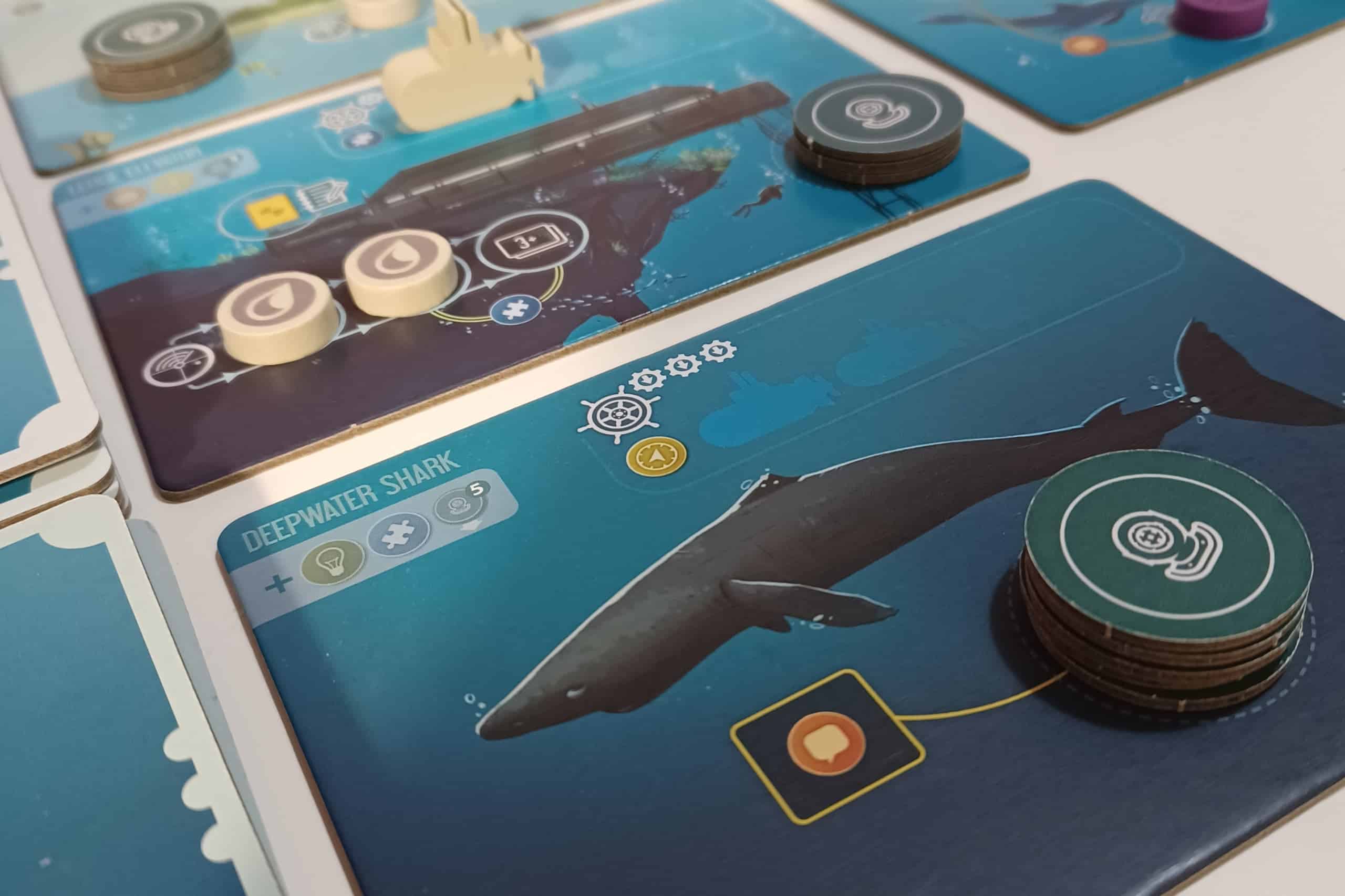 Lähikuva Deep Sea Shark -laatasta, johon on kuvattu meressä uiva hai.