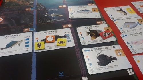 Lähikuvassa Finspanin pelaajan pelilauta, jossa on kalakortteja: boniitti, purjeliskokala, piikkileukakrotti, tummakiikarikala ja mustapallokrotti. Laudan vieressä on muita kaloja: raitamarliini, sinisarvikala, mariaanienlipari. Piikkileukakrotilla on kaksi poikasta ja yksi mätimuna, tummakiikarikalalla on poikasparvi.