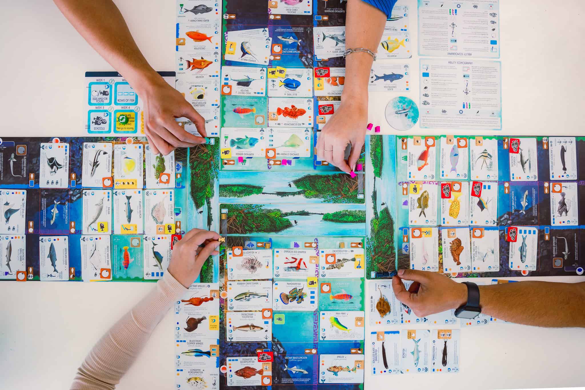 Nelinpeli Finspania. Neljän pelaajan pelilaudat vierekkäin ristin muodossa, useimmat laudat täynnä kaloja. Neljän pelaajan kädet ojentuvat kuvan ulkopuolelta asettamaan sukeltajanappuloita laudoille.