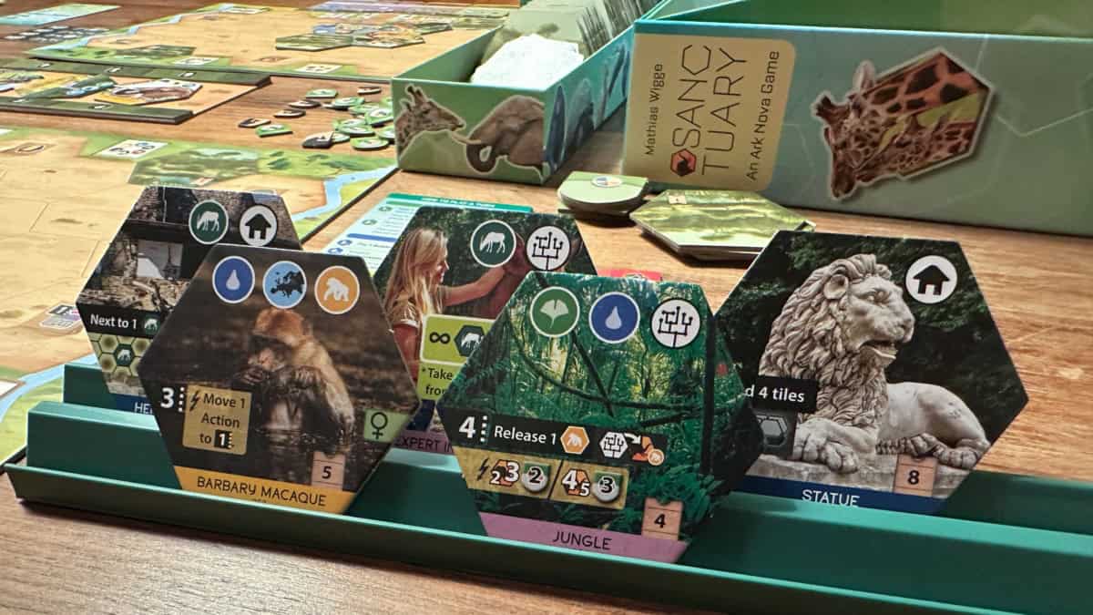 Sanctuaryn laattateline, jossa on viisi isoa heksalaattaa. Etualalla on magotti ja viidakko, taustalla pari kasvissyöjäkorttia (rakennus ja asiantuntijaprojekti) ja patsas.