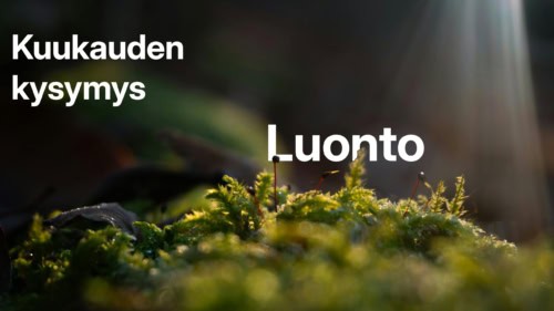 Lähikuva sammaleesta. Teksti "Kuukauden kysymys" ja "Luonto".