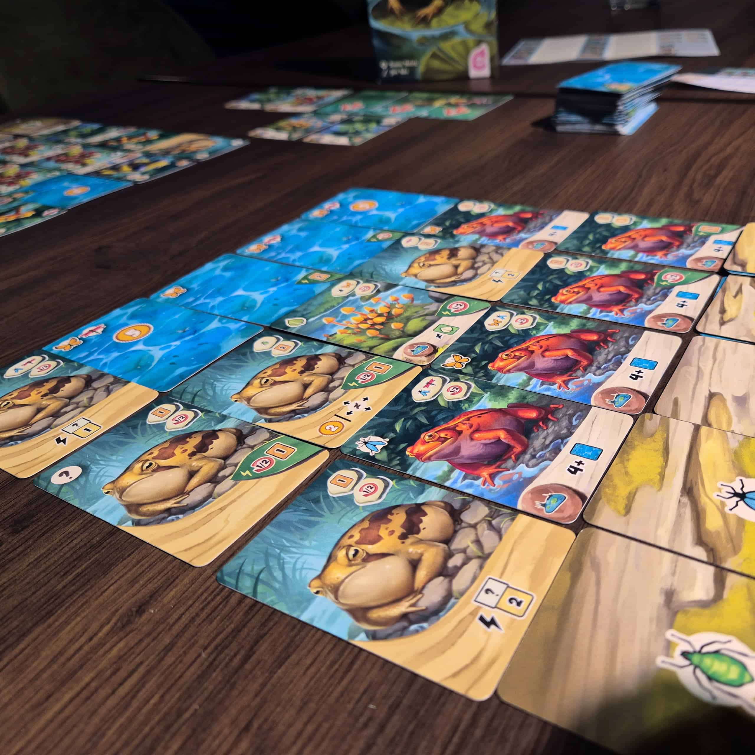 Lähikuva Pondscapen korttiruudukosta, jossa on erilaisia sammakkokortteja.