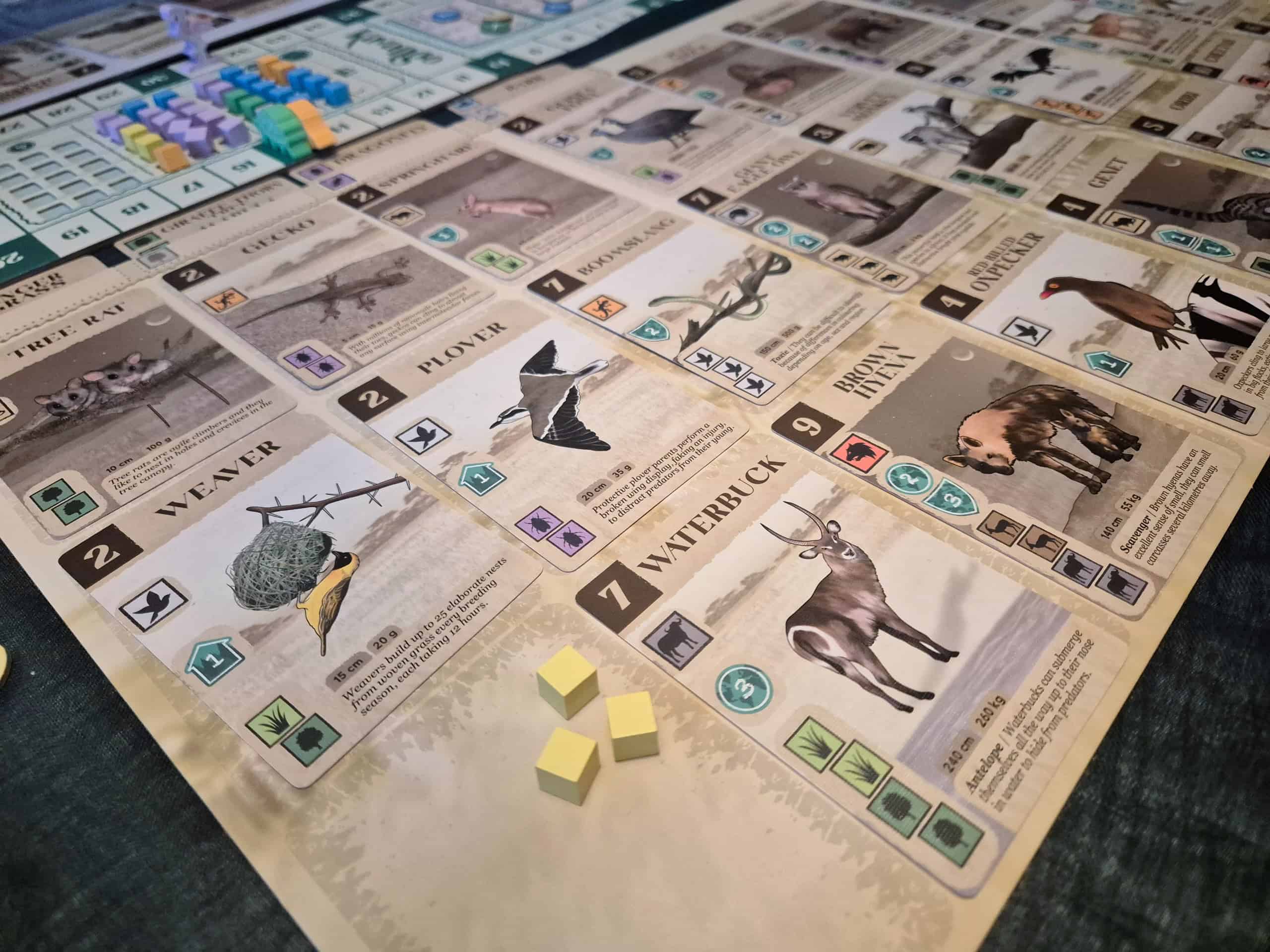 Lähikuva Kavangon eläinkorteista, etualalla Waterbuck, Weaver ja Plover.
